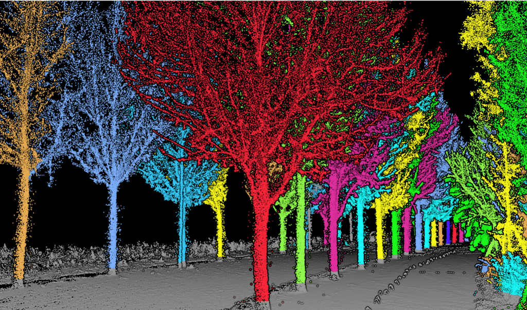 LIDAR360 3D SCANNING SYSTEM, LIDAR POINT CLOUS POST PROCESSING SOFTWARE - FORESTRY APPLICATION