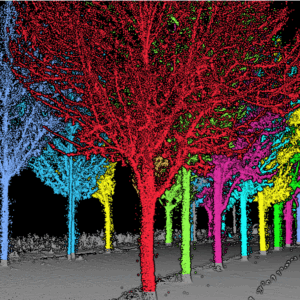 LiDAR Point Cloud Software - LiDAR360 - Global Shipping
